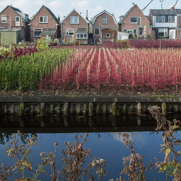 A Look Inside a Former Dutch Flower Estate