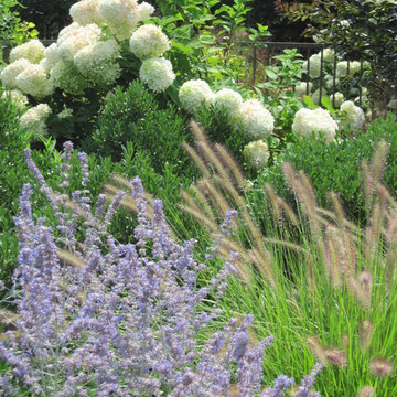 Perennials with Ornamental Grass