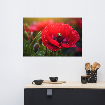 Botanical Flower Wall Art: Dewdrop Dream Surreal Realism