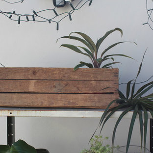 Mittelgroßes Eklektisches Garten im Innenhof mit Pflanzwand, direkter Sonneneinstrahlung und Betonplatten in Sydney