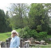 Diane Raeder's photo