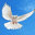 FLYWING ARCHITECTECTURAL & STRUCTURAL DESIGNER