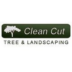 Clean Cut Tree & Landscaping