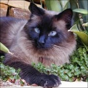 Elaine Buck's photo