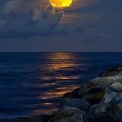 Brandi Marquart's photo