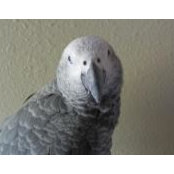 PatrickPatricia Ehlman's photo
