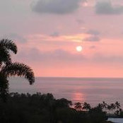 Candice Alvarez's photo
