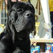 Anna Usachenko's photo