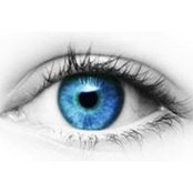 Mickie L. Antonucci's photo