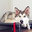 Puptown Houston