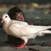 Gabriela Argemon's photo