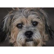 Sarah Skea's photo