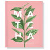 Dovetail Press, Matcha, A Lifestyle Guide, Book