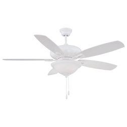 Traditional Ceiling Fans by Lighting and Locks