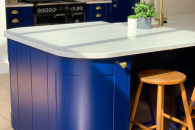 Kitchen - transitional kitchen idea in Cardiff