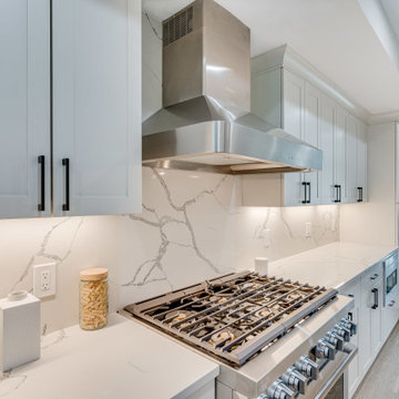 Transitional Kitchen Design Washington, DC | Reico