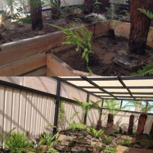 Fernery