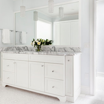 Simple Elegance Primary Bath in Glen Ellyn