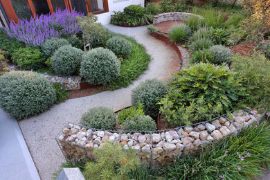 This is an example of a modern garden in Sydney.