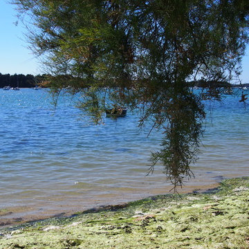 Maison de pêcheur les pieds dans l'eau...