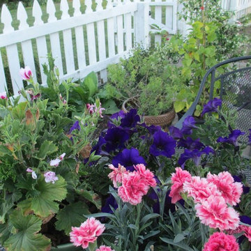 Beth's Gardens 2017