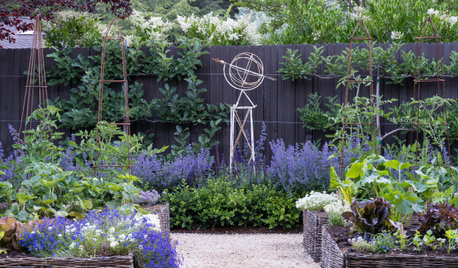 Your Summer Watering Guide for Happy and Healthy Plants
