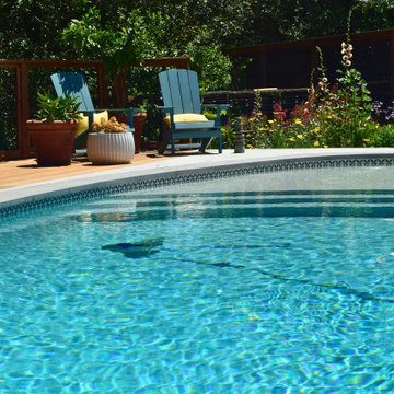Backyard Pool Deck in San Rafael