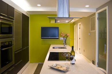This is an example of a contemporary galley kitchen in DC Metro with a single-bowl sink.
