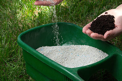 Fertilization