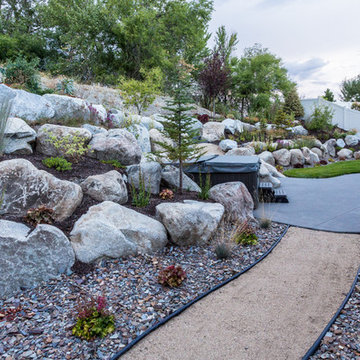 Bird-Friendly Backyard