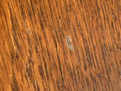 what caused this new small dark hole on my hardwood floor recently? - Home  Improvement Stack Exchange