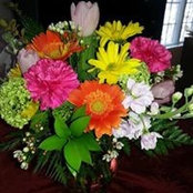 Lucy Lester's photo