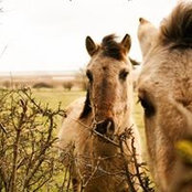 Stephanie Nightingale's photo