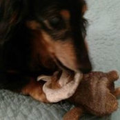 Stephanie Schaff's photo