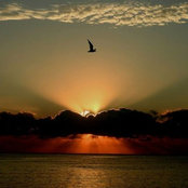 Carolyn Peralta's photo