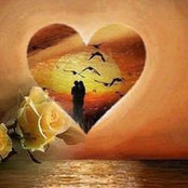 Estelle Harvey's photo