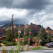 Joan Quiroz's photo