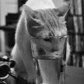 Harry Lam's photo