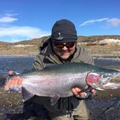 Robin Spencer's photo