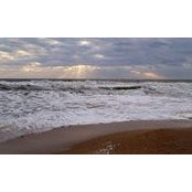 Raymond Metych's photo