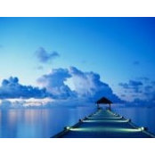 Olivia De Silva's photo