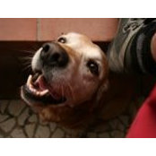 Claudia Contessi's photo