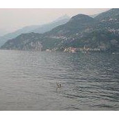 Matthew Forsyth's photo