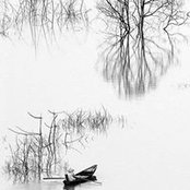 Kriszta Tari's photo