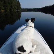 Paul Wilmore's photo