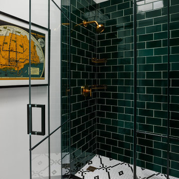 Lincoln Park Renovation