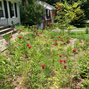 Summer Flowers