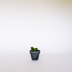 2" Classic Concrete Pot / Medium Gray - Indoor Pots And Planters