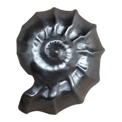 Dartefax - Nautilus Shell Knob, Oil Rub Bronze - Cabinet And Drawer Knobs
