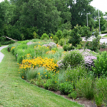 Fireworks Restaurant Rain Garden